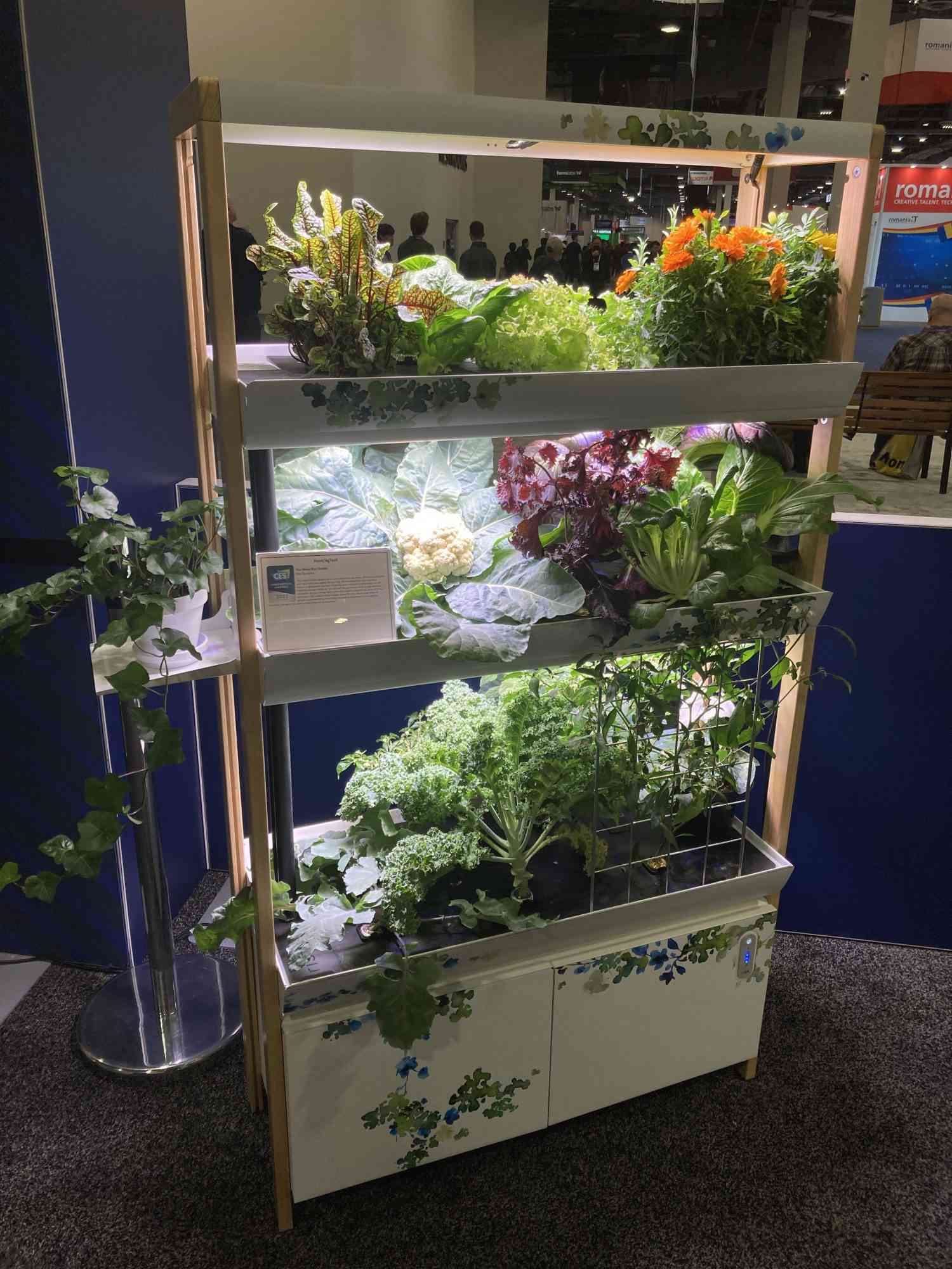 The New Rise Garden is a smart hydroponics system capable of growing vegetables and herbs all year round.