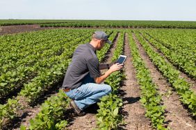 iPad-Farmer-Soybean-Field