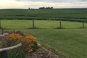 Pasture and fence