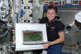 Astronaut Peggy Whitson holds soybeans growing in space in July 2002.