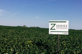 Z Series sign with Pioneer and Corteva logo in soybean field with blue sky