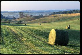 round bale