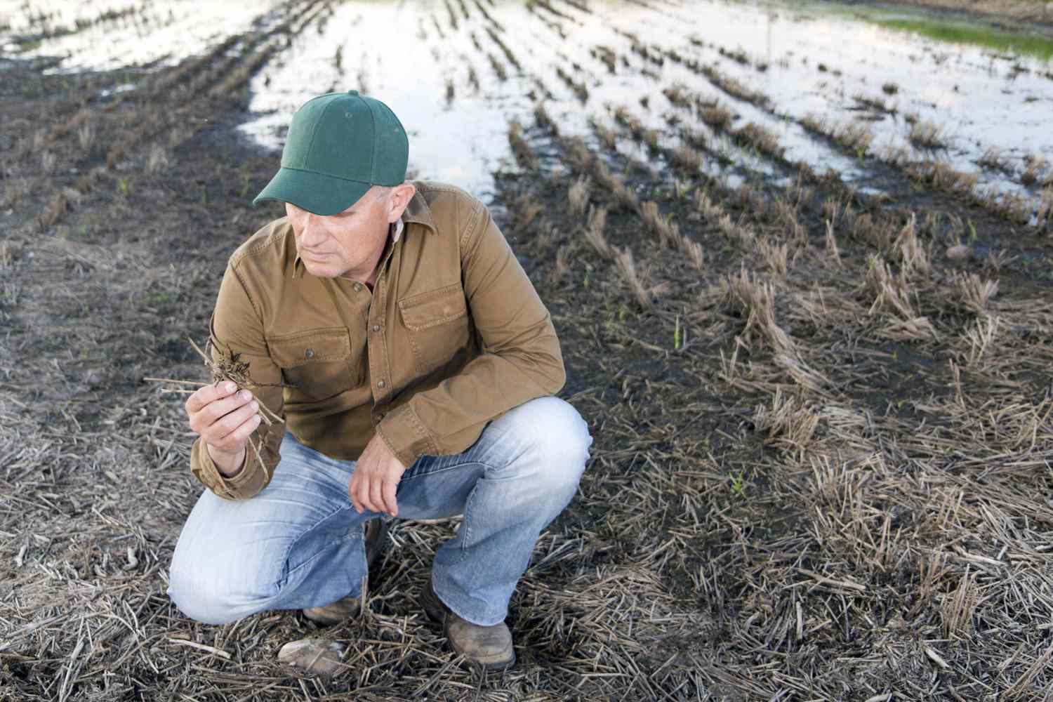 farmer in field