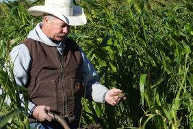 Soil health practices help 2020 South Dakota fields hold up in wet conditions.