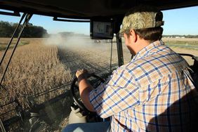 Soybean harvest