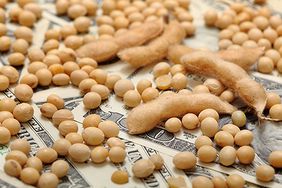 soybeans in money