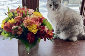 Jerry Nelson's cat, Sparkles, with flowers