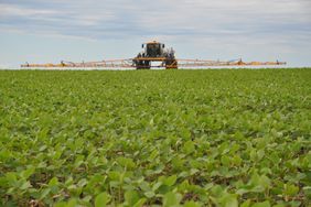 spraying soybeans