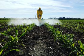 spraying pesticides on a field