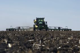 Spring Planting Corn