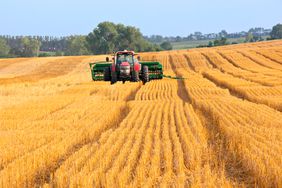 oat field and tractor