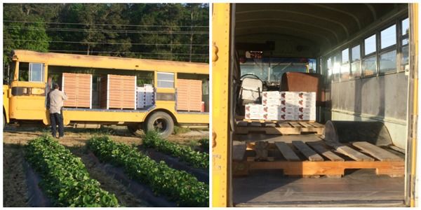 school bus carrying strawberries