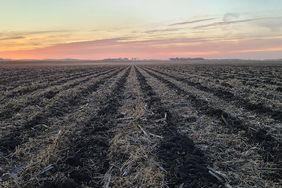 Strip-till on a budget