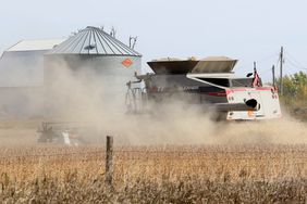 strong_harvest_iowa