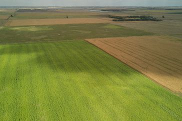 farmland-from-drone