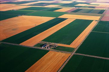 29491_farmland