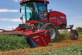 Red Case IH WD5 windrower harvesting wheat in field.