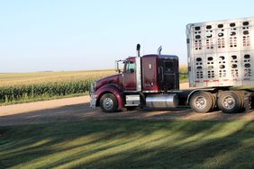 truck hogs