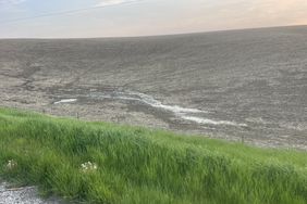 A wet farm field in western Iowa in mid-May 2024