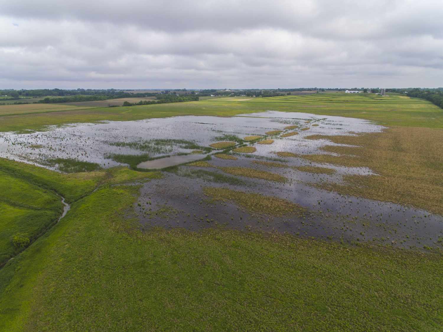 A drone shot of CRP wetlands in Iowa