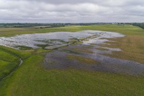 A drone shot of CRP wetlands in Iowa