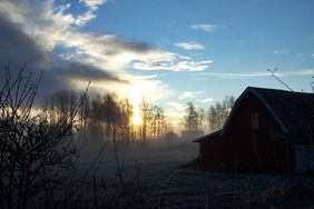 winter farm - winter csa