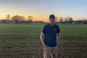 Chad Henderson stands in his winter wheat field in Alabama