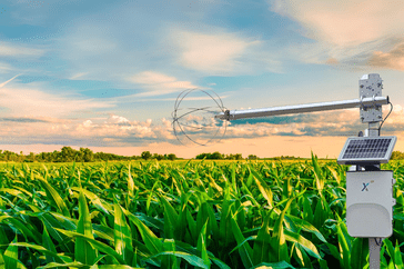 Crop X irrigation sensor over field of corn.