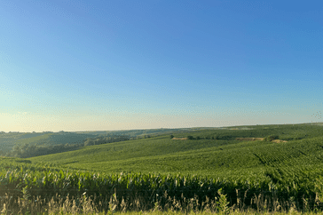 Kelly-Garrett-July-corn-field