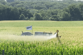 A sprayer in an Iowa corn field in July