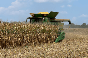 John Deere combine harvests corn in Arkansas on Matt Miles' farm