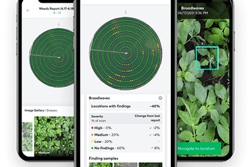 Plant Insights on cell phone