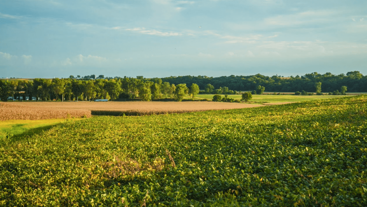 Weather Proofing Your Farm Part 2