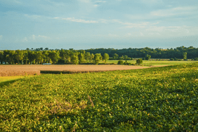 Weather Proofing Your Farm Part 2